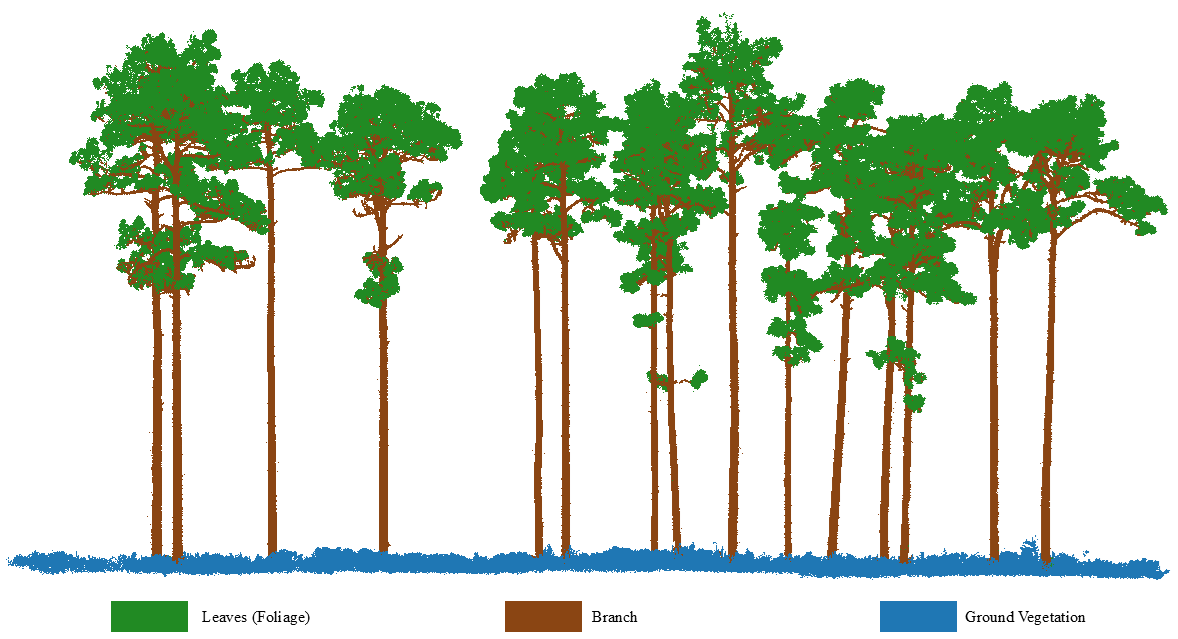 Example segmentation output